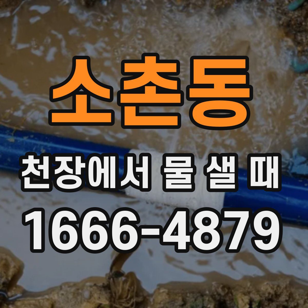 소촌동 천장에서 물 샐 때
