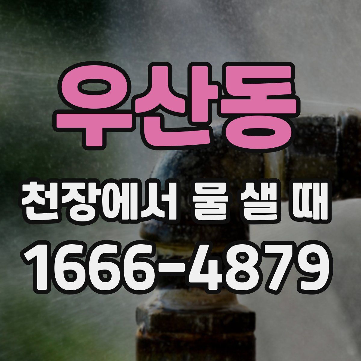 우산동 천장에서 물 샐 때