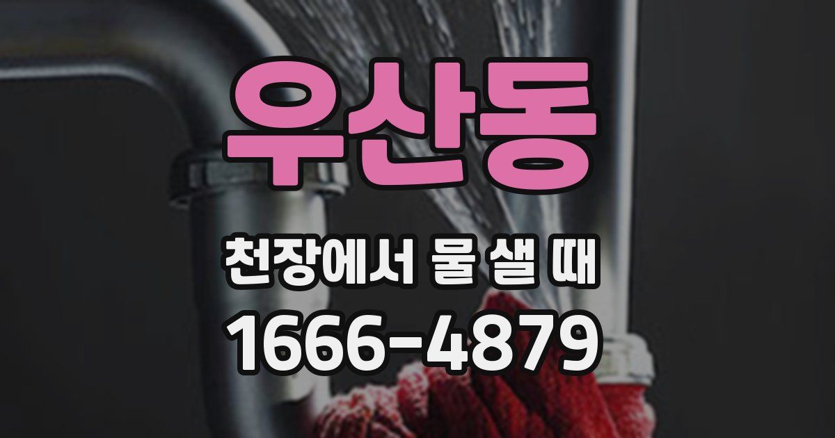 우산동 천장에서 물 샐 때