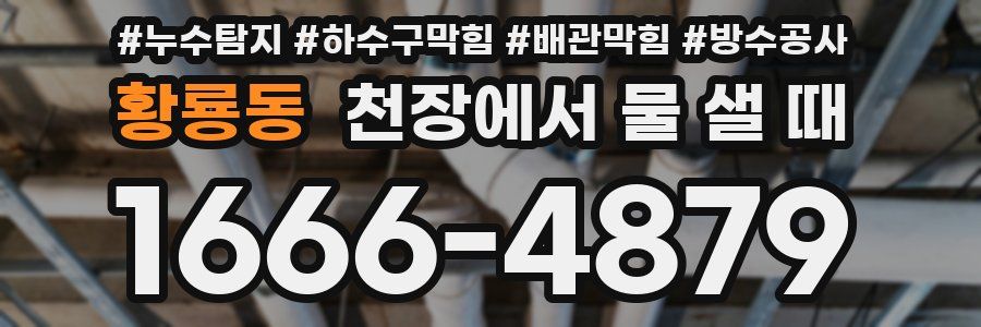 황룡동 천장에서 물 샐 때