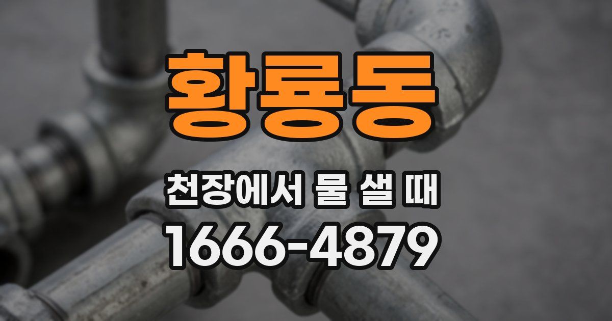 황룡동 천장에서 물 샐 때