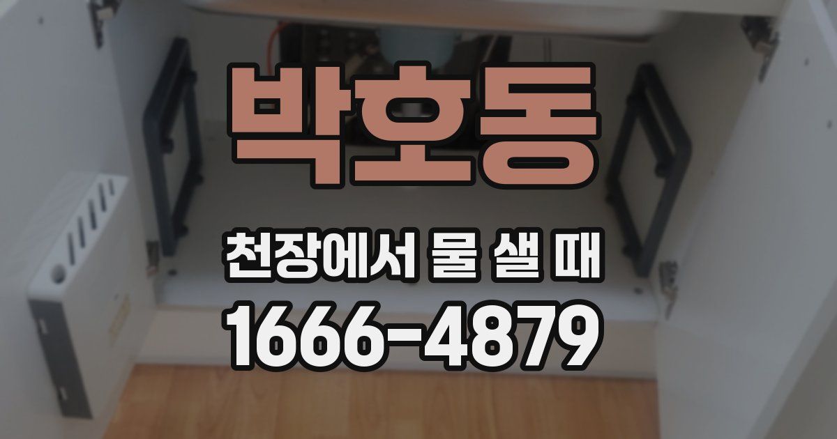 박호동 천장에서 물 샐 때