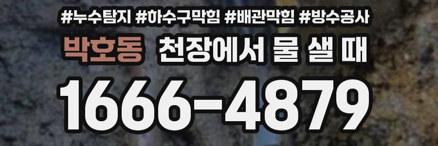 박호동 천장에서 물 샐 때