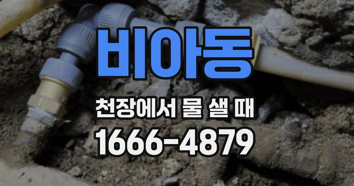 비아동 천장에서 물 샐 때