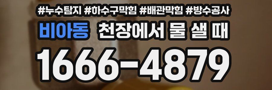 비아동 천장에서 물 샐 때