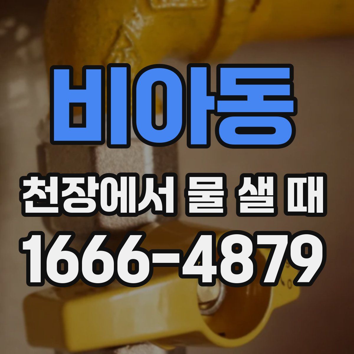 비아동 천장에서 물 샐 때