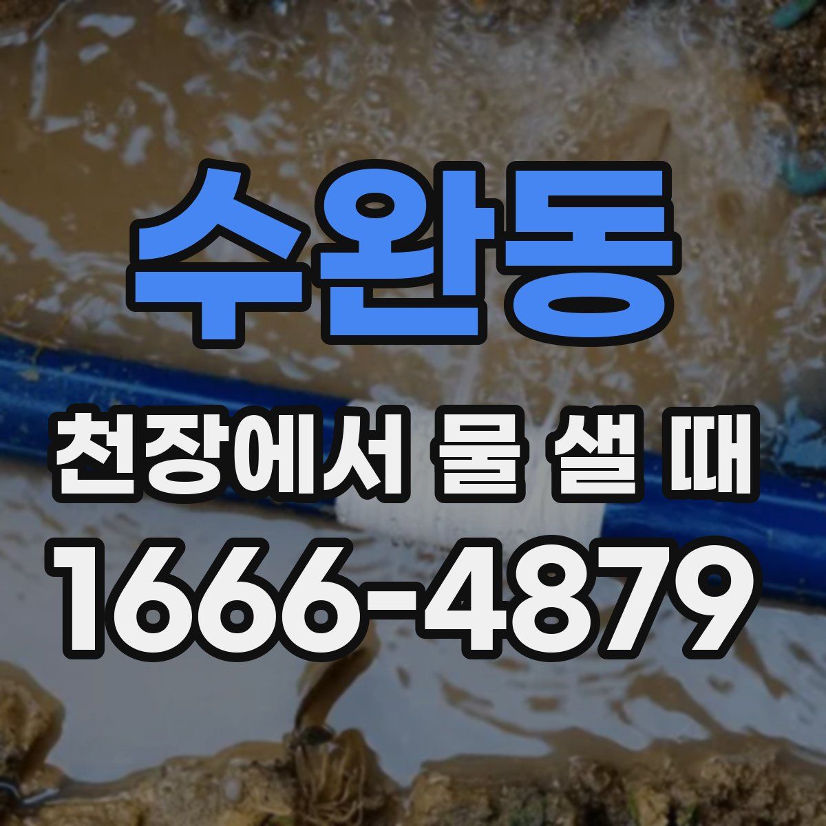 수완동 천장에서 물 샐 때