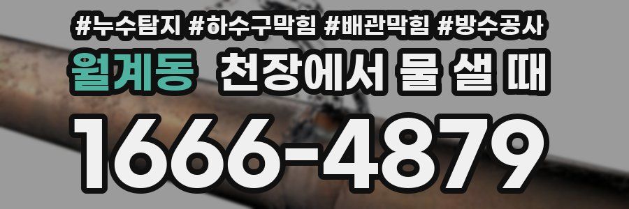월계동 천장에서 물 샐 때