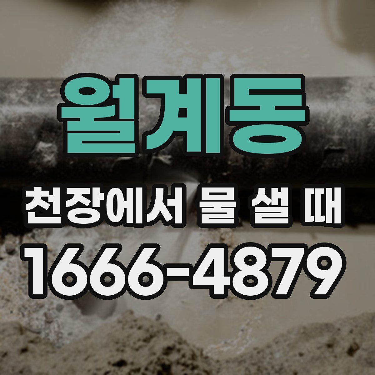 월계동 천장에서 물 샐 때