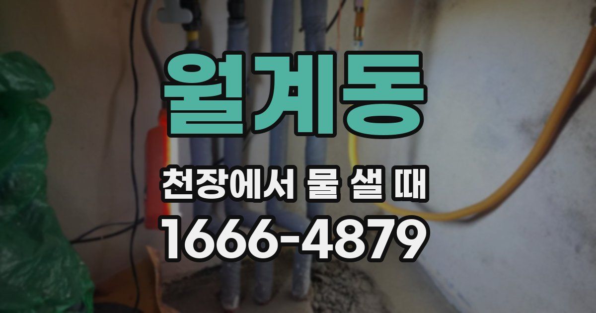 월계동 천장에서 물 샐 때