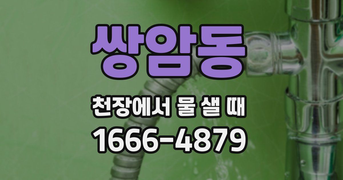 쌍암동 천장에서 물 샐 때