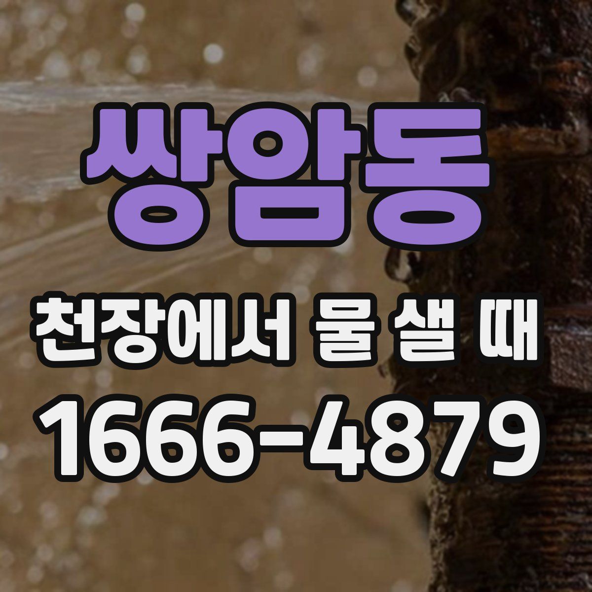 쌍암동 천장에서 물 샐 때
