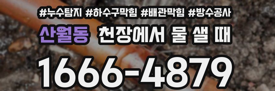 산월동 천장에서 물 샐 때