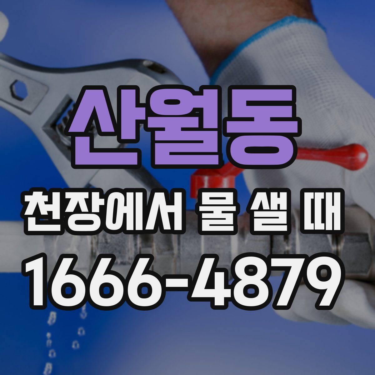 산월동 천장에서 물 샐 때