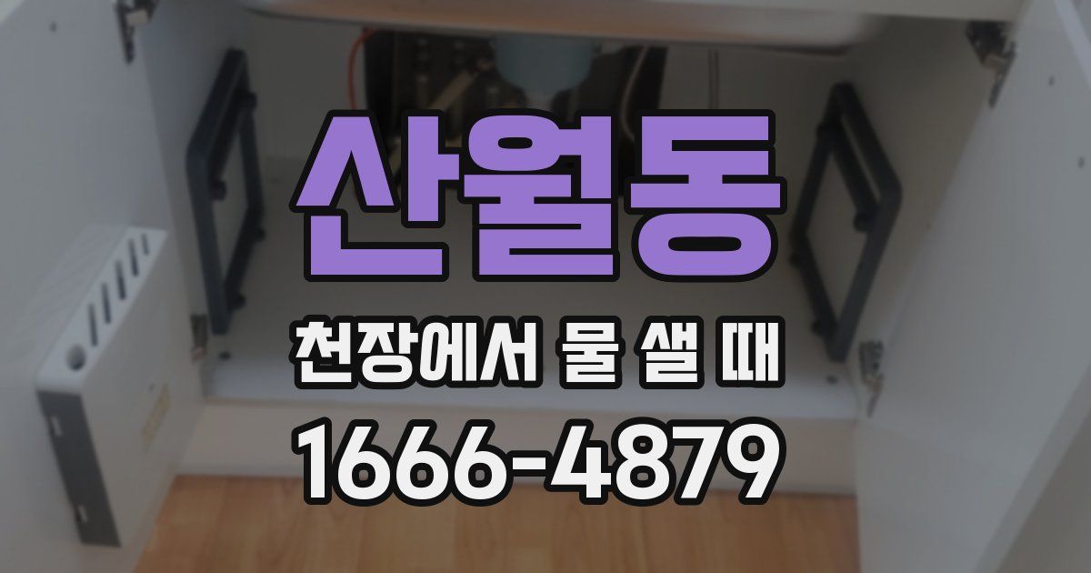 산월동 천장에서 물 샐 때