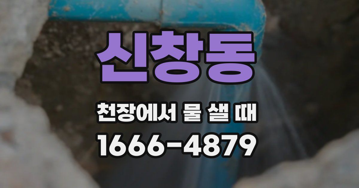 신창동 천장에서 물 샐 때