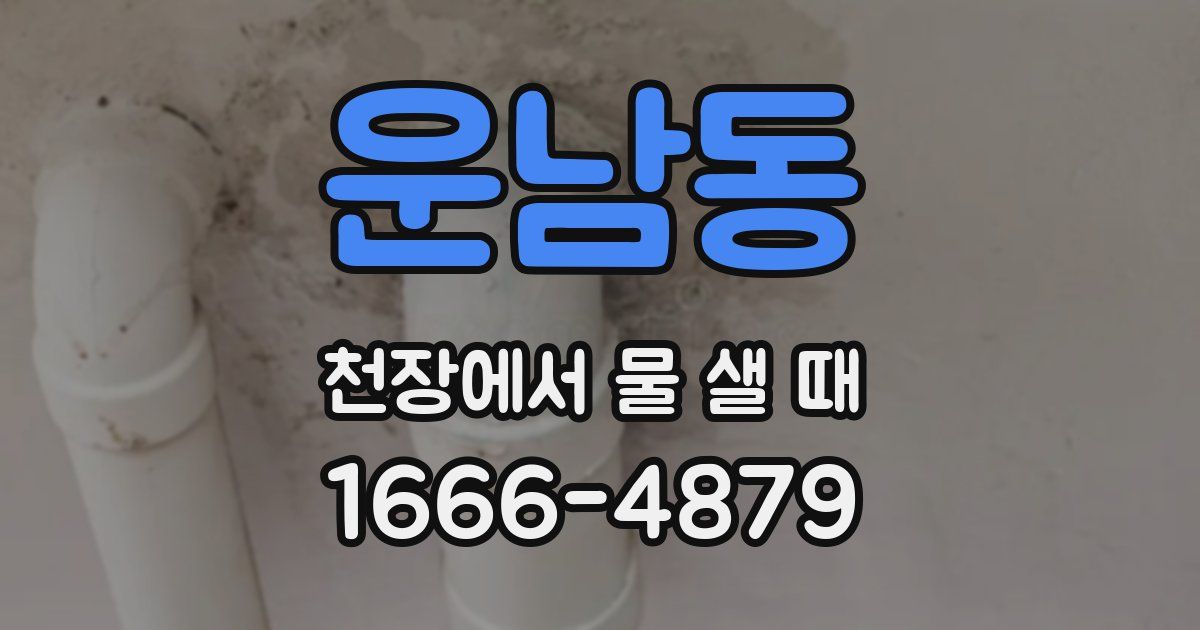 운남동 천장에서 물 샐 때