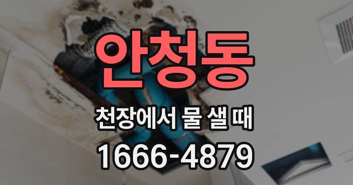 안청동 천장에서 물 샐 때