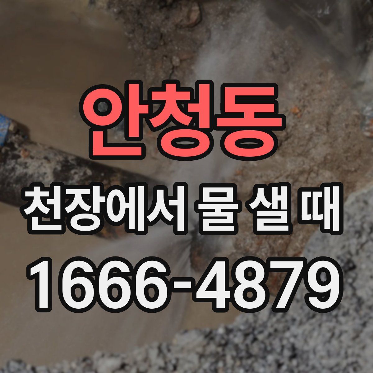 안청동 천장에서 물 샐 때