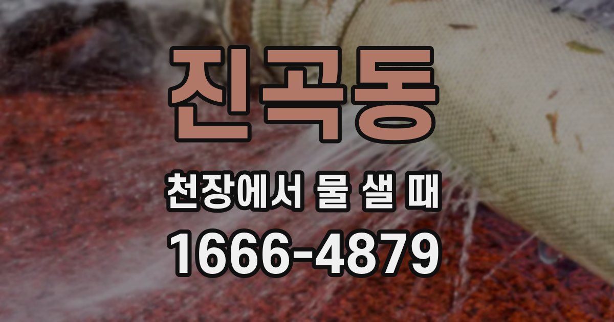 진곡동 천장에서 물 샐 때
