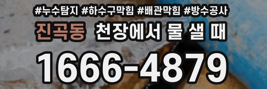 진곡동 천장에서 물 샐 때