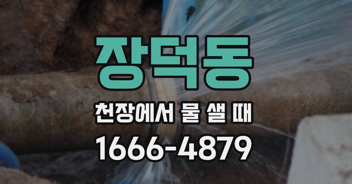 장덕동 천장에서 물 샐 때