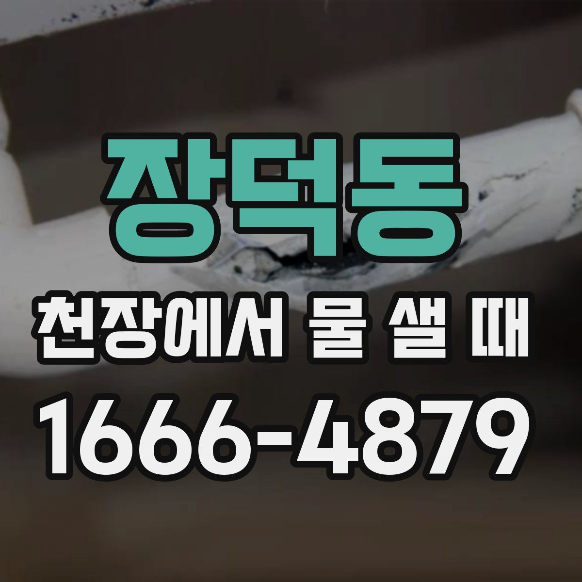 장덕동 천장에서 물 샐 때