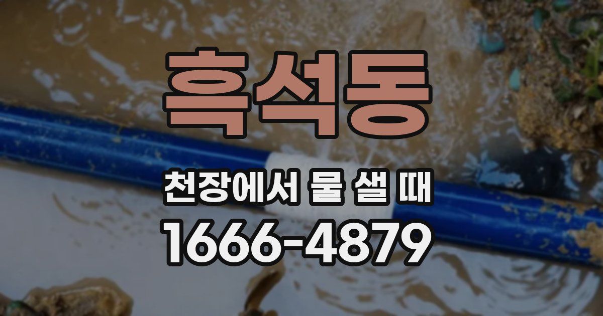 흑석동 천장에서 물 샐 때