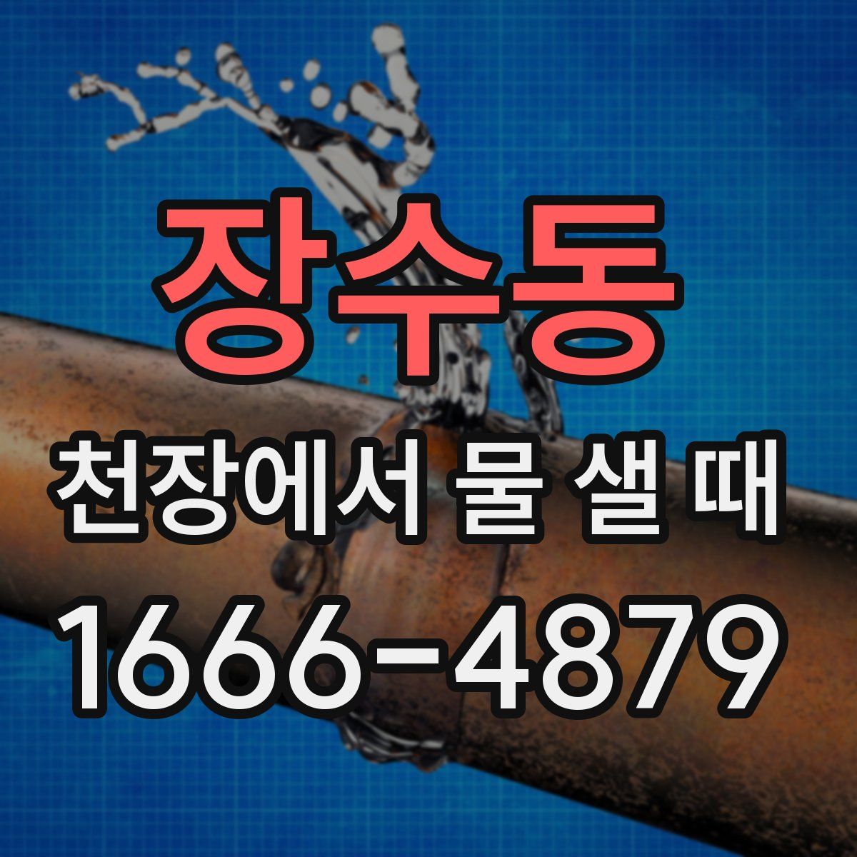 장수동 천장에서 물 샐 때