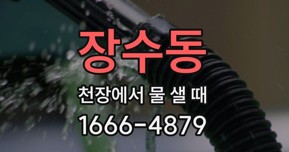 장수동 천장에서 물 샐 때