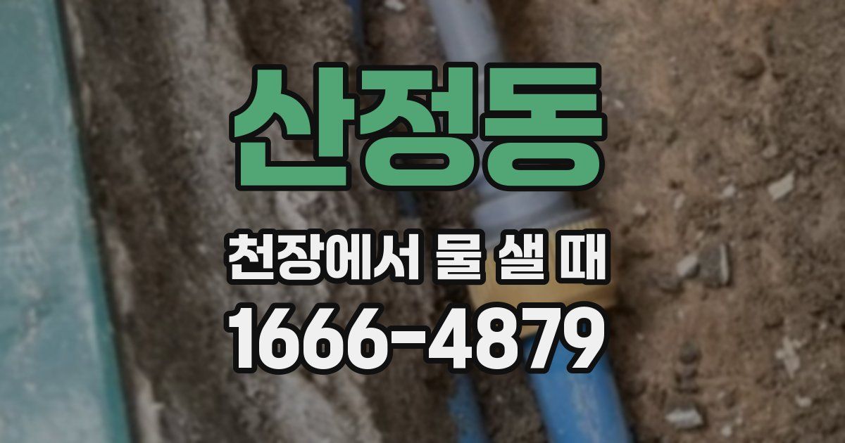 산정동 천장에서 물 샐 때
