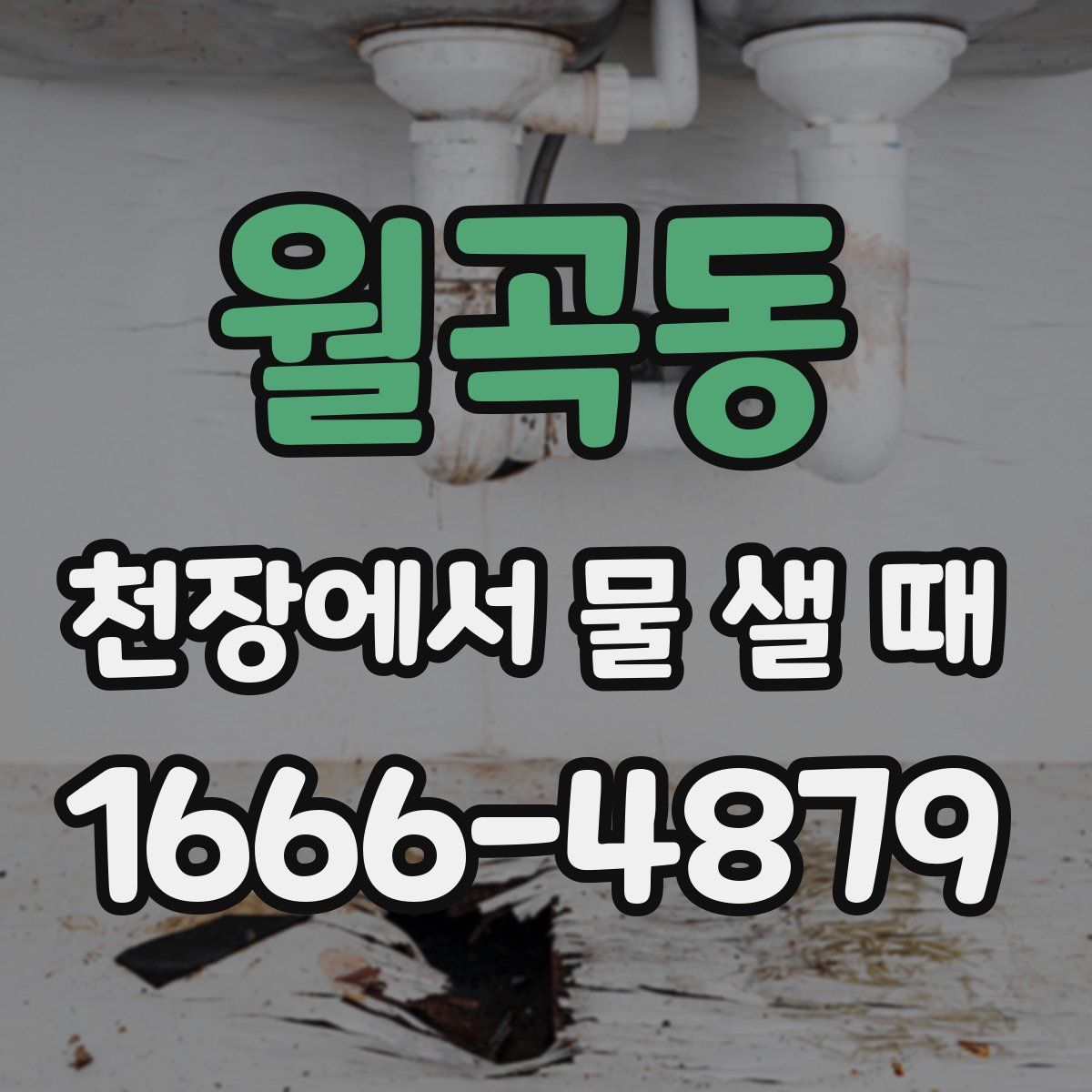 월곡동 천장에서 물 샐 때