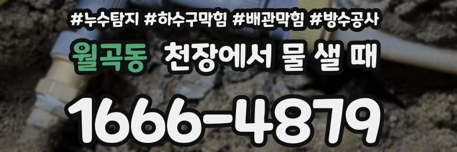 월곡동 천장에서 물 샐 때