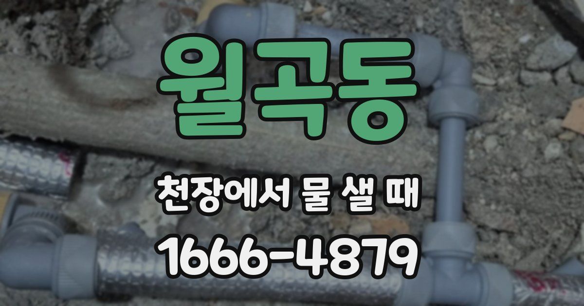 월곡동 천장에서 물 샐 때