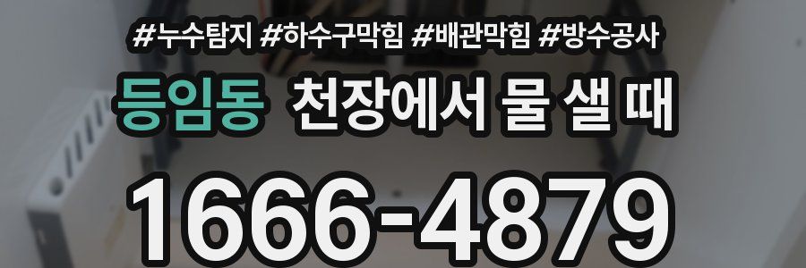 등임동 천장에서 물 샐 때