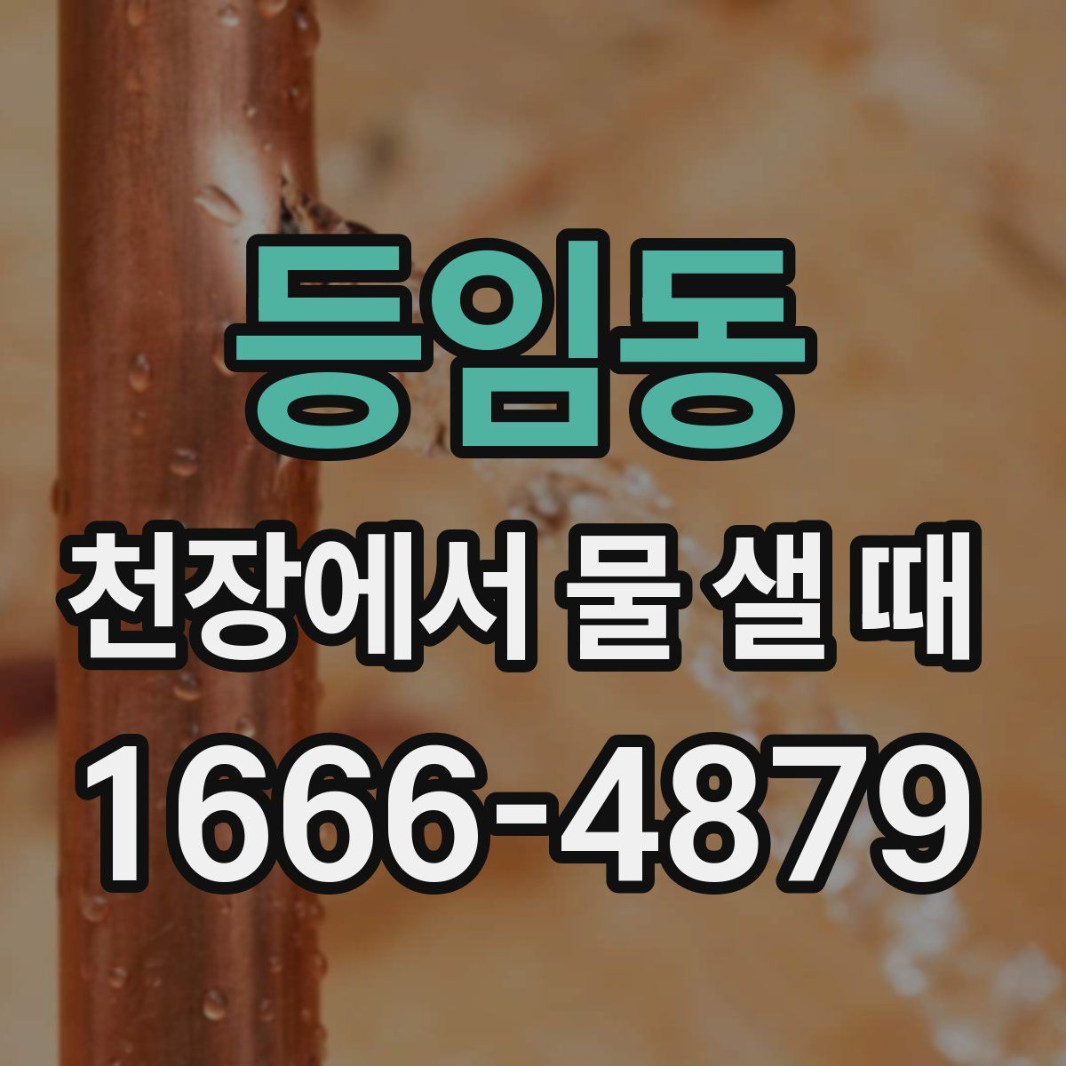 등임동 천장에서 물 샐 때