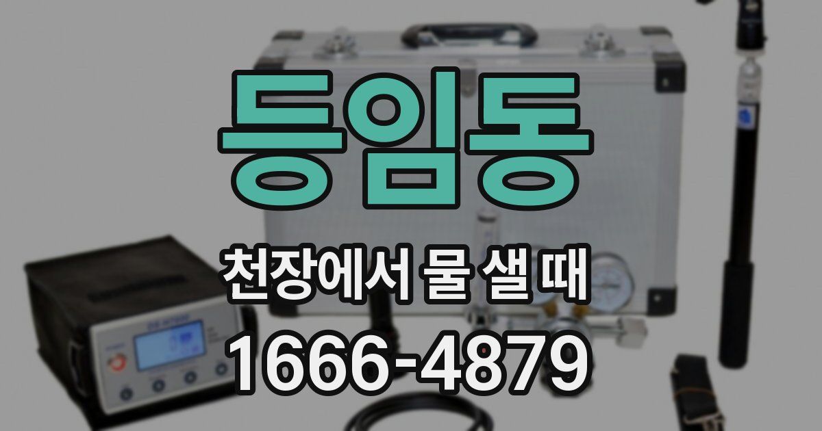 등임동 천장에서 물 샐 때