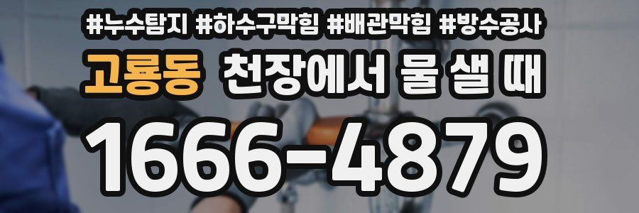 고룡동 천장에서 물 샐 때