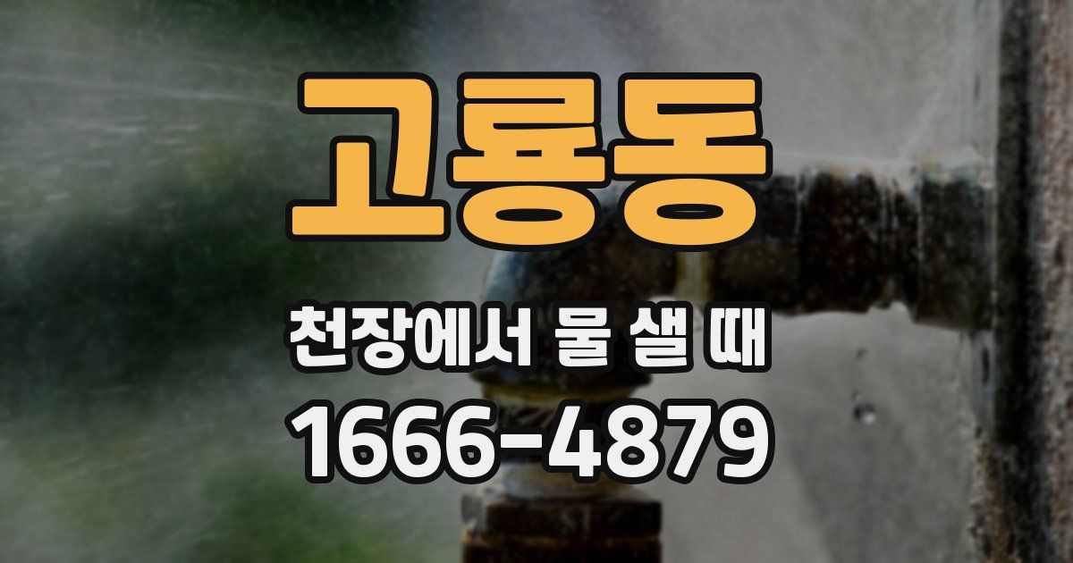 고룡동 천장에서 물 샐 때