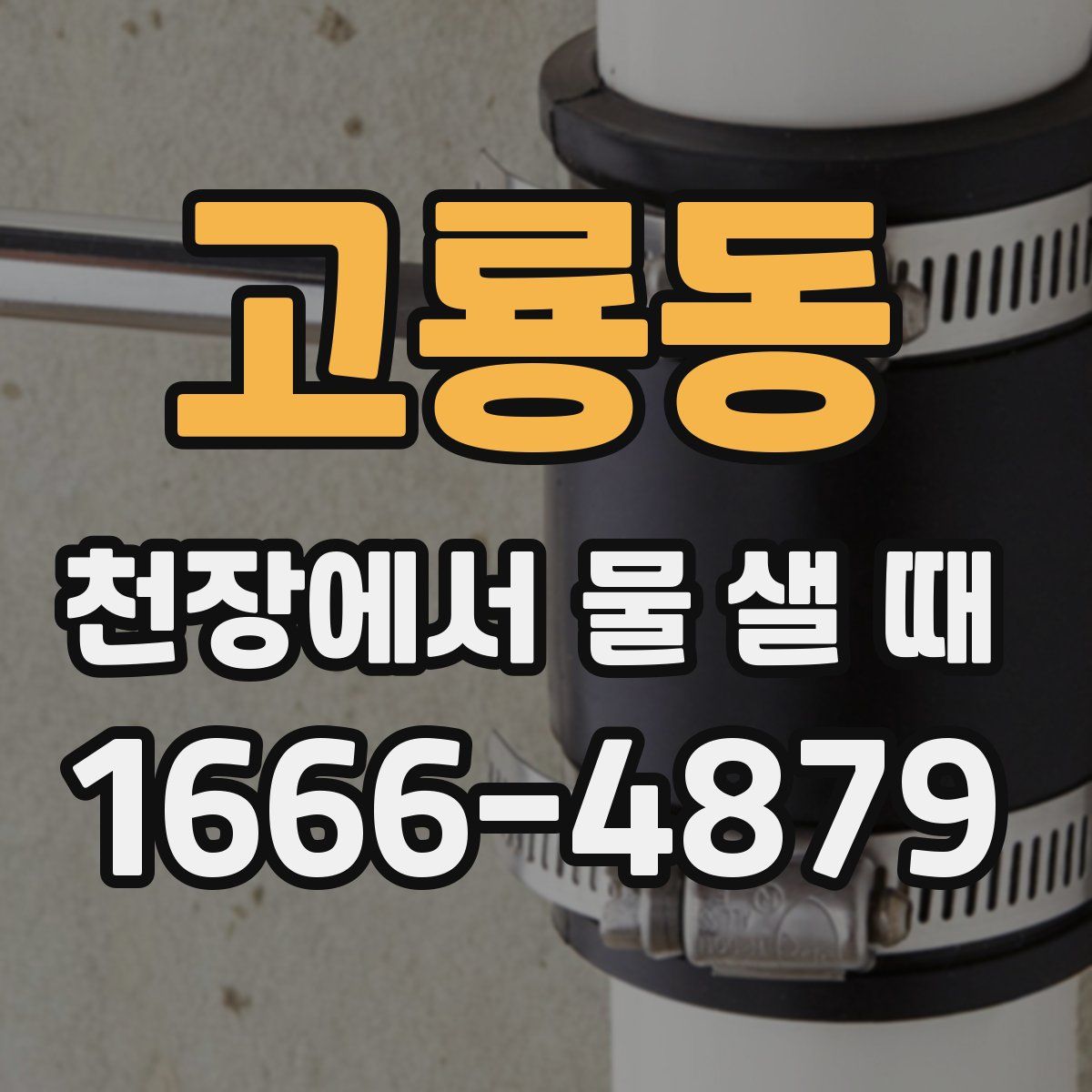 고룡동 천장에서 물 샐 때