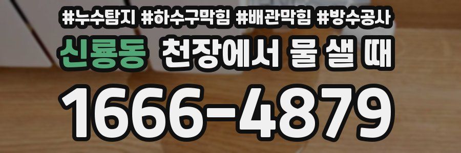신룡동 천장에서 물 샐 때