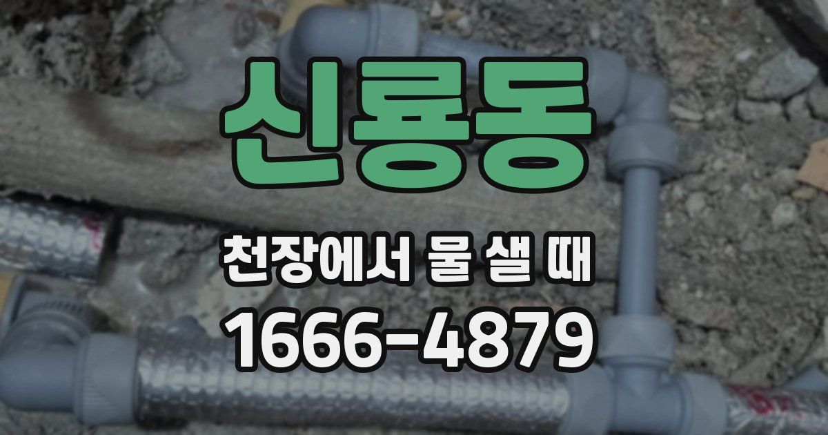 신룡동 천장에서 물 샐 때
