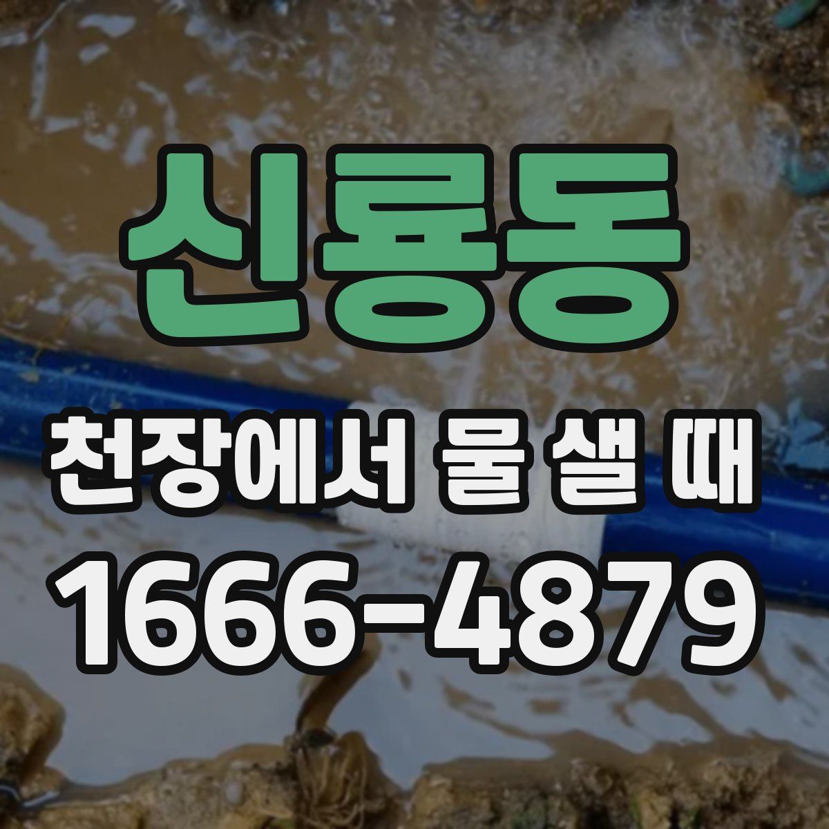 신룡동 천장에서 물 샐 때