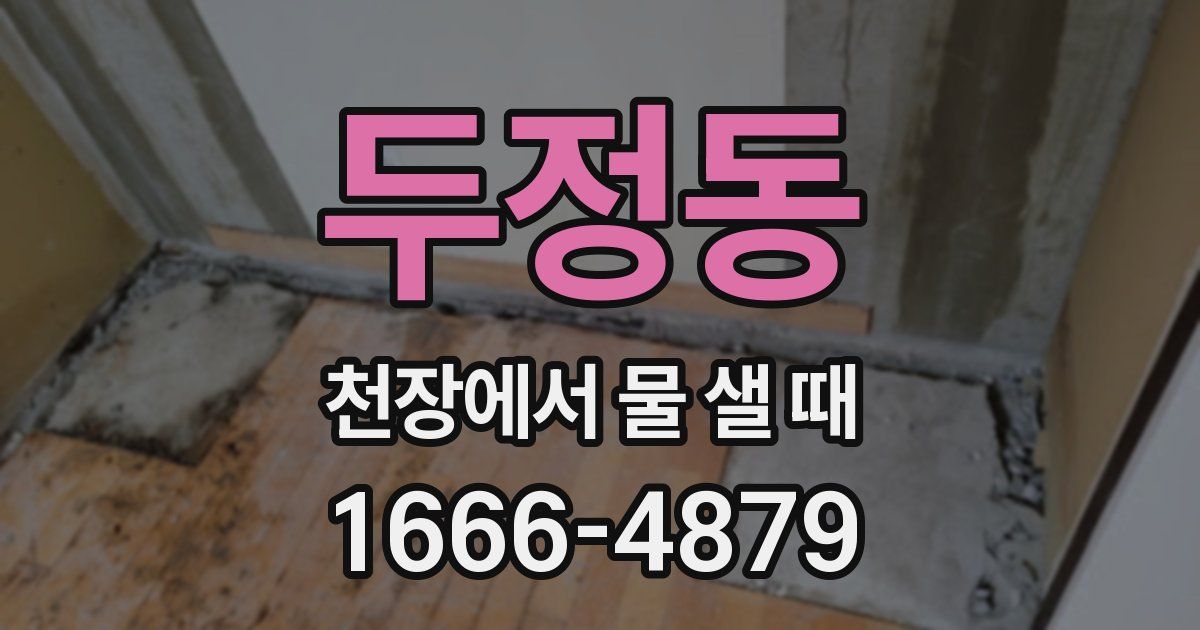 두정동 천장에서 물 샐 때