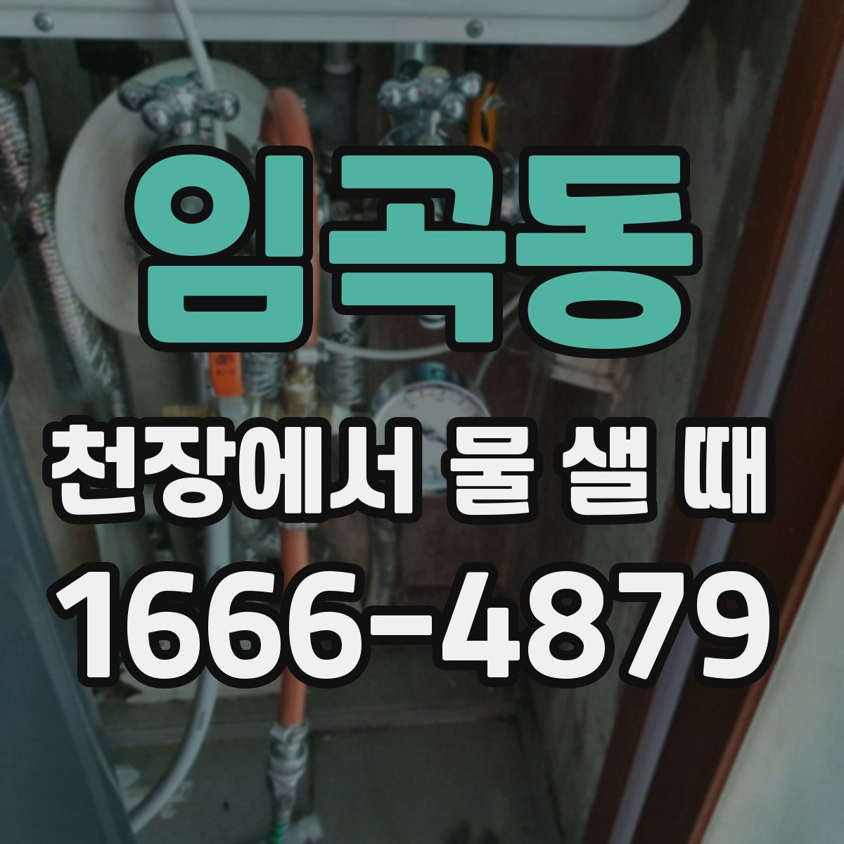 임곡동 천장에서 물 샐 때