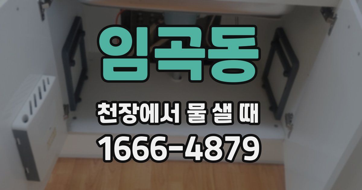 임곡동 천장에서 물 샐 때