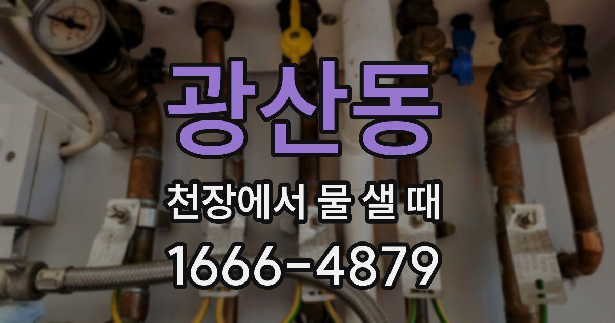 광산동 천장에서 물 샐 때
