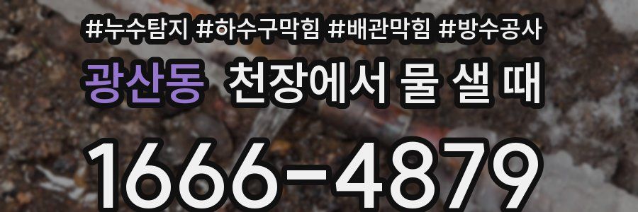 광산동 천장에서 물 샐 때