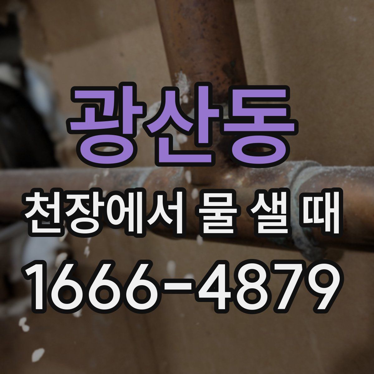 광산동 천장에서 물 샐 때