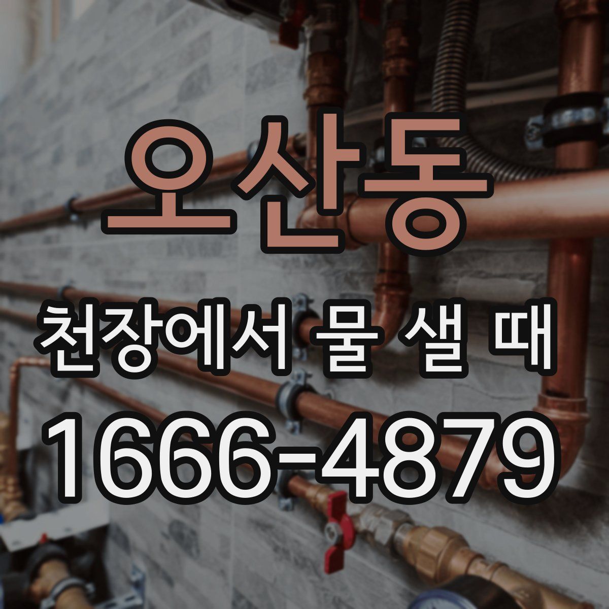 오산동 천장에서 물 샐 때